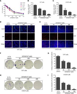 Corrigendum: MELK Inhibition Effectively Suppresses Growth of Glioblastoma and Cancer Stem-Like Cells by Blocking AKT and FOXM1 Pathways